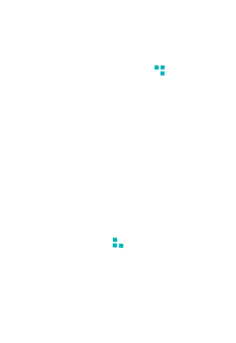 NZ pixel map